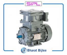 Bharatbijlee Flame Proof Motors