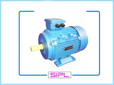 3 Phase AC Motors