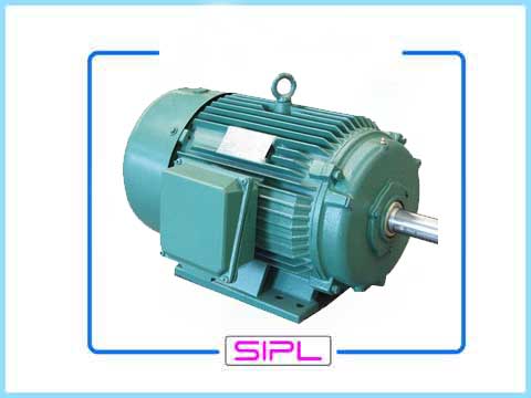 3 Phase Induction Motors