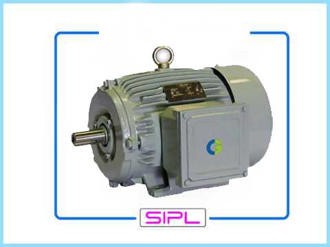 Electric Motor Crompton Greaves 